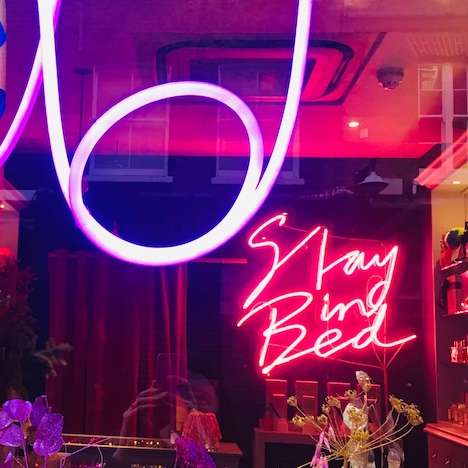 pink and red neon sign saying stay in bed